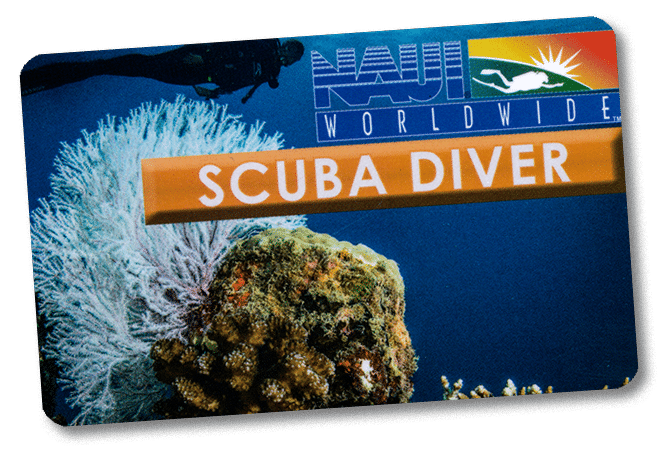 NAUI Dive Card for Military Divers
